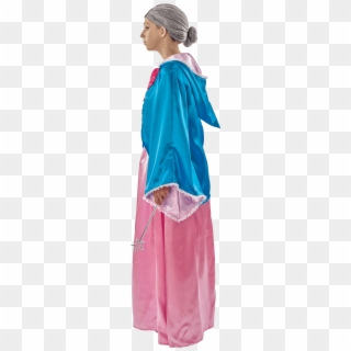 Adult Magical Fairy Godmother Fancy Dress Costume - Velvet Clipart