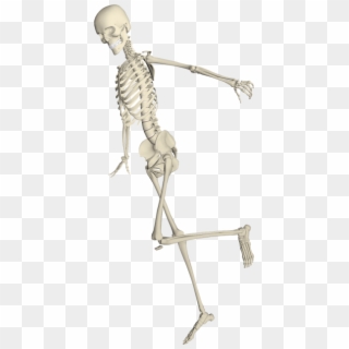Skeleton Running Png Clipart