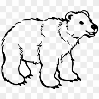 Outline Image Of Bear Clipart