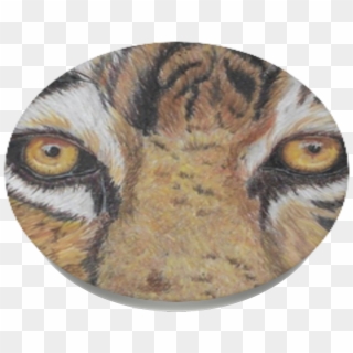Eyes On The Prize, - Bengal Tiger Clipart