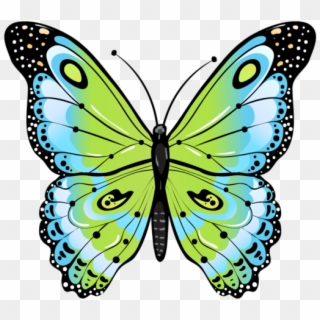 648c0825 Butterfly Images, Butterfly Wallpaper, Butterfly - Renkli Kelebek Resmi Png Clipart