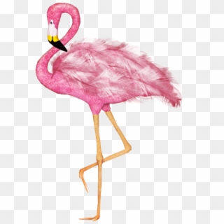 #mq #pink #flamingo #flamingos #bird - Elias Chatzoudis Clipart