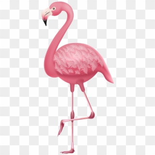 Flamingo Png Clipart - Greater Flamingo Transparent Png