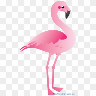 Flamingo Clipart Pink Flamingo - Flamingo Clipart - Png Download