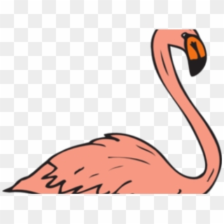 Pink Flamingo Cliparts - Flamingo Swimming Clipart - Png Download