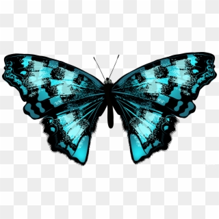 Butterfly Net Clipart - Яркие Бабочки Png Transparent Png