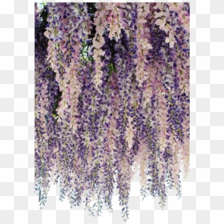 Bean Signature Cascading Flowers, Purple Flowers, Lavender - Hanging Lavender Clipart