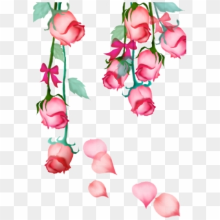#mq #pink #rose #roses #hanging #bow #flowers #flower - 花朵 Clipart