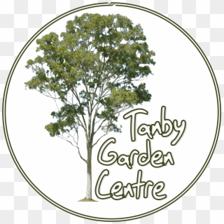 Tanby Garden Centre The Capricorn Coast Nursery And - Tanby Garden Centre Clipart