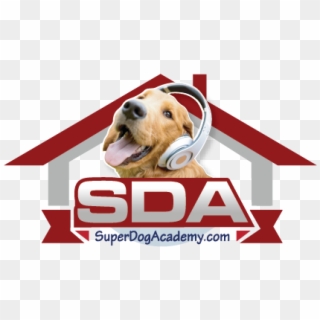 Sda Superdogacademy - Dog Catches Something Clipart
