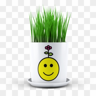 Happy Emoji Planter - Smiley Clipart