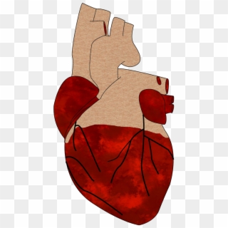 A Realistic Heart - Cartoon Clipart