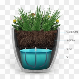 Image For Waterwell Planters' Linkedin Activity Called - Flowerpot Clipart