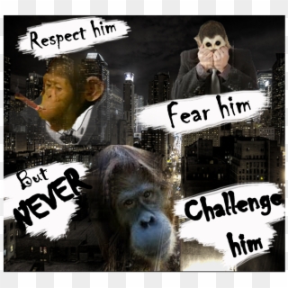 Orangutan 3 - New York City Clipart