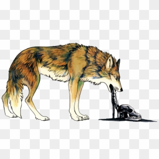 Coyote Dog Vomiting Illustration - Coyote On Vector Clipart