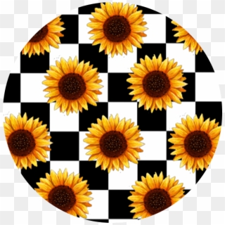 #scacchi #sunflower #tumblr #aesthetic #aesthetictumblr - Checkerboard Sunflower Clipart
