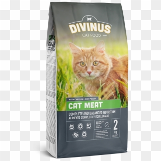 Cat Clipart