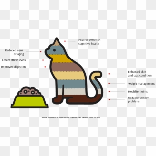 Some Behavioral Criteria Used To Assess Dog Food Performance - Cartoon Clipart