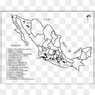 Map With Gastropod Localities In Mexico - Chumbitaro Michoacan Map Clipart