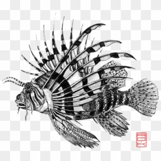 Bleed Area May Not Be Visible - Lionfish Drawing Clipart