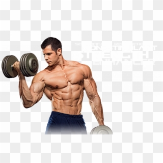 Anabolic Steroids Are Substances With An Action Similar - Portable Network Graphics Clipart