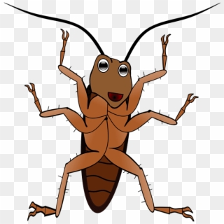 El Caso De La 'cucaracha Gigante' Que Vigilaba A Una - Png แมลงสาบ การ์ตูน Clipart