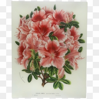Bouquet Clipart