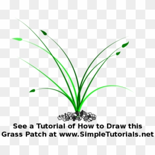 Grass Clipart