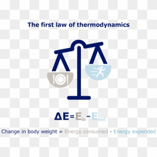 Obesity Thermodynamics - Graphic Design Clipart
