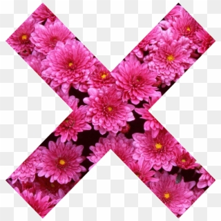 X X Cross Flower Pink Girly Pink Nature Collor Tumblr - Flowers Clipart