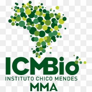 Logo Instagram Fundo Transparente - Instituto Chico Mendes Clipart