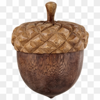 Acorn Png Free Download - Portable Network Graphics Clipart