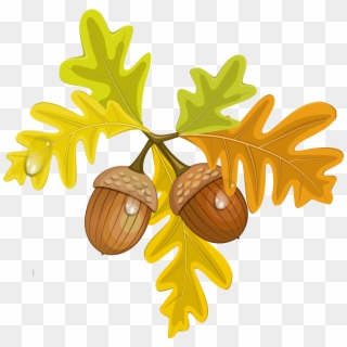 Leaves And Acorns Clipart - Png Download