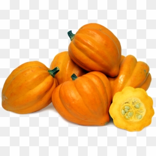 Acorn Squash Png File - Pumpkin Clipart