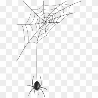 Spider Web Png Clip Art Image - Transparent Spider Web Vector