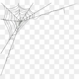 Free Png Download Spider Web Corner Png Images Background - Spider Web Corner Png Clipart