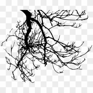 Svg Library Download Branch Transparent Creepy - Tree Branches Silhouette Png Clipart
