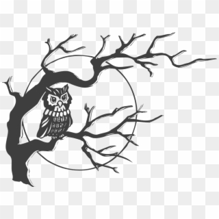 Owl Tree Moon - Owl In A Tree Clipart - Png Download