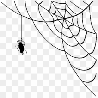 Spider Web Transparent Background Clipart