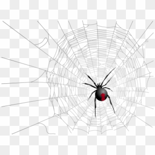 Free Png Download Halloween Transparent Net And Spider - Spider Clipart