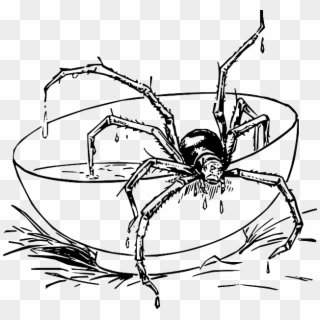 Jpg Library Stock Spider In Web Drawing At Getdrawings - Creepy Spider Coloring Pages Clipart