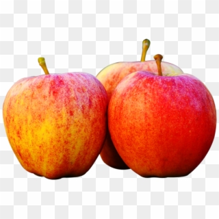 Free Png Three Apples Png - Bunch Of Apples Png Clipart