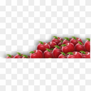 Apples Png Clipart