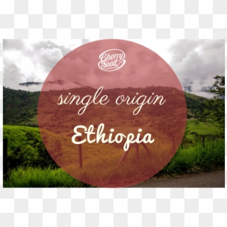 Ethiopia Sidamo - Grass Clipart