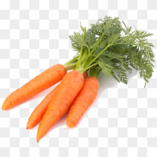 Carrot Png Clipart