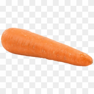 Big Carrot Png - Carrot Png Clipart
