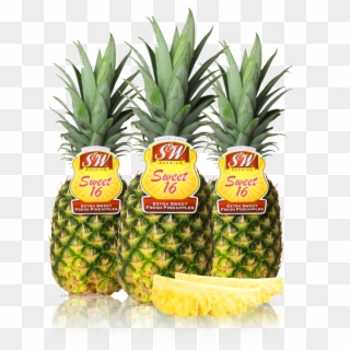 Pineapple - Sweet 16 Pineapple Clipart