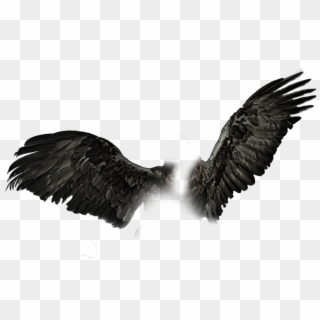 Dark Wings Png Black Wings Pngs Clipart