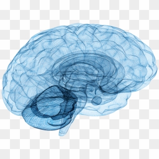 Our Approach - Neuro Brain Clipart