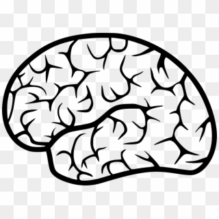 Png File Svg - Human Brain Free Icon Clipart